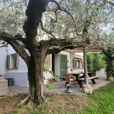 Agriturismo Villa Carducci-2